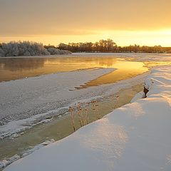 photo "Frost morning February"