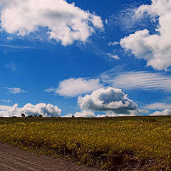 фото "Эх дороги..."