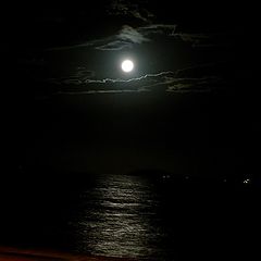 фото "Moon"