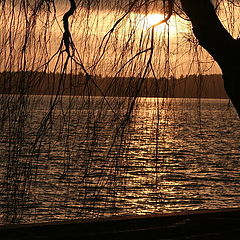 photo "Sundown at the Mueritz"