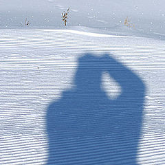 photo "autoportrait"