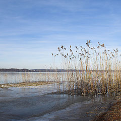 фото "Lake"