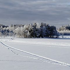 photo "Winter"