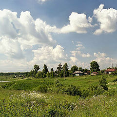 фото "Макушка лета."