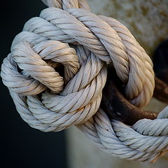 photo "knot"