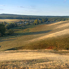 photo "By female quail fields"