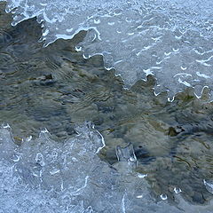 photo "Charm of an ice"