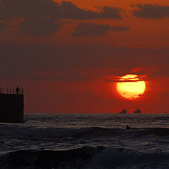 photo "Watcher of the sunset"