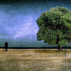 фото "somewhere..."