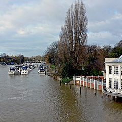 фото "River Thames"