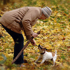 photo "their little world"