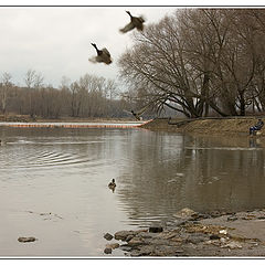 фото "Весенняя (3)..."