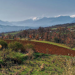 photo "Spring in Greece"