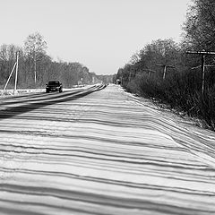 фото "Жизнь полос и линий"