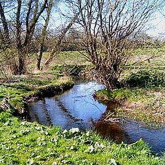 фото "Landscape."