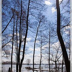 фото "Высокая вода"