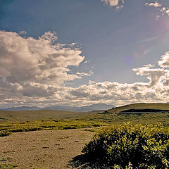 фото "Sunshine over green field"