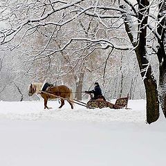 фото "Российский мотив"