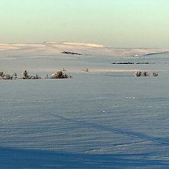 фото "Winter in Norway"