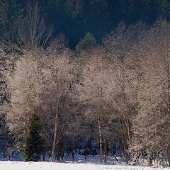 фото "Val Vigezzo winter"