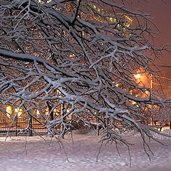 photo "The Moscow winter morning"