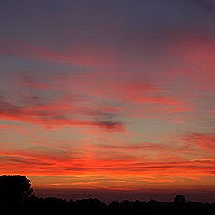 photo "tramonto in lomellina"