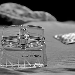 фото "Love in Paris"