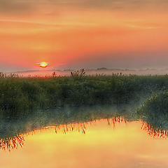 photo "Morning on the River"