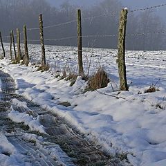 photo "Our only day of snow"