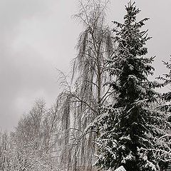 фото "Это был полдень"