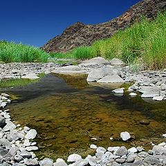 фото "Oasis, South of Namibia"