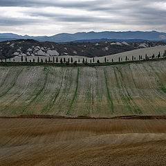 photo "Tuscany"