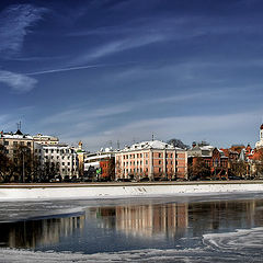 фото "Лёд и птица"