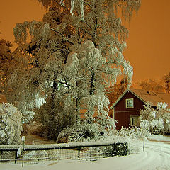 photo "Winter night"