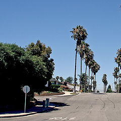 photo "The street where I live"