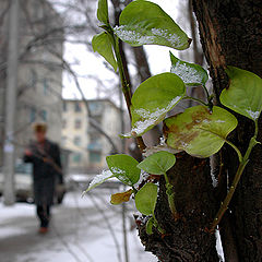 photo "Winter in Stalingrad"