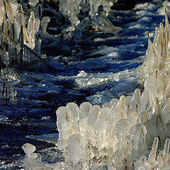 фото "ice age"