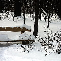 photo "Snow-covered bench"