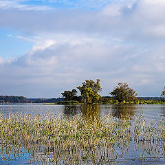 photo "From the Volga's shore"