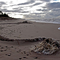 фото "After storm 1"