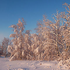 photo "Winter fairy-tale"