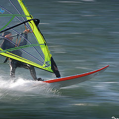 фото "surfing"