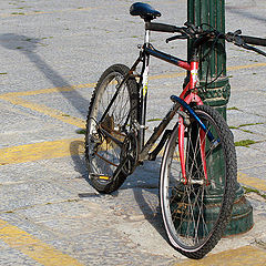 фото "The Portuguese love bikes 01/38"