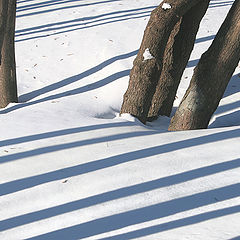 photo "Almost March shadows :)"