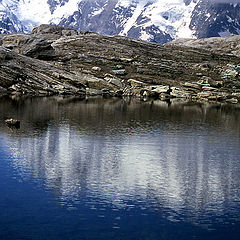 photo "Water under the ice"