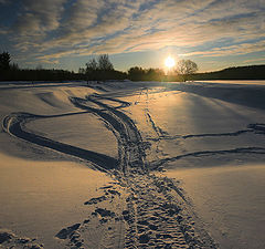 фото "morning walk..."