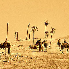 фото "SPIRITS OF THE DESERT"