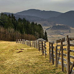 photo "Alpine winter"