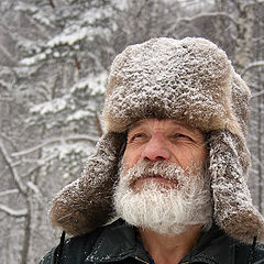 photo "Wintered beard"