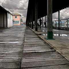 фото "outworn path.."